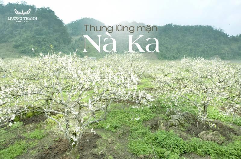 Hình ảnh một du khách đang thư giãn trên ban công của căn bungalow tại Mama House Mộc Châu, tận hưởng view thung lũng tuyệt đẹp.